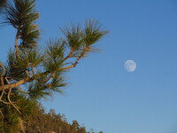 Just the moon at SPM