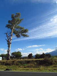 Nature at Puebla, México